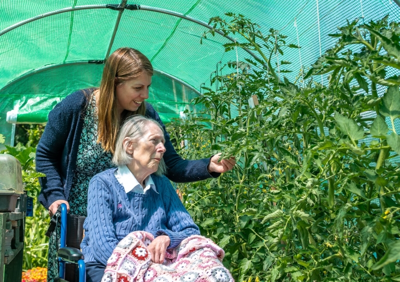 Charlton Road Allotments